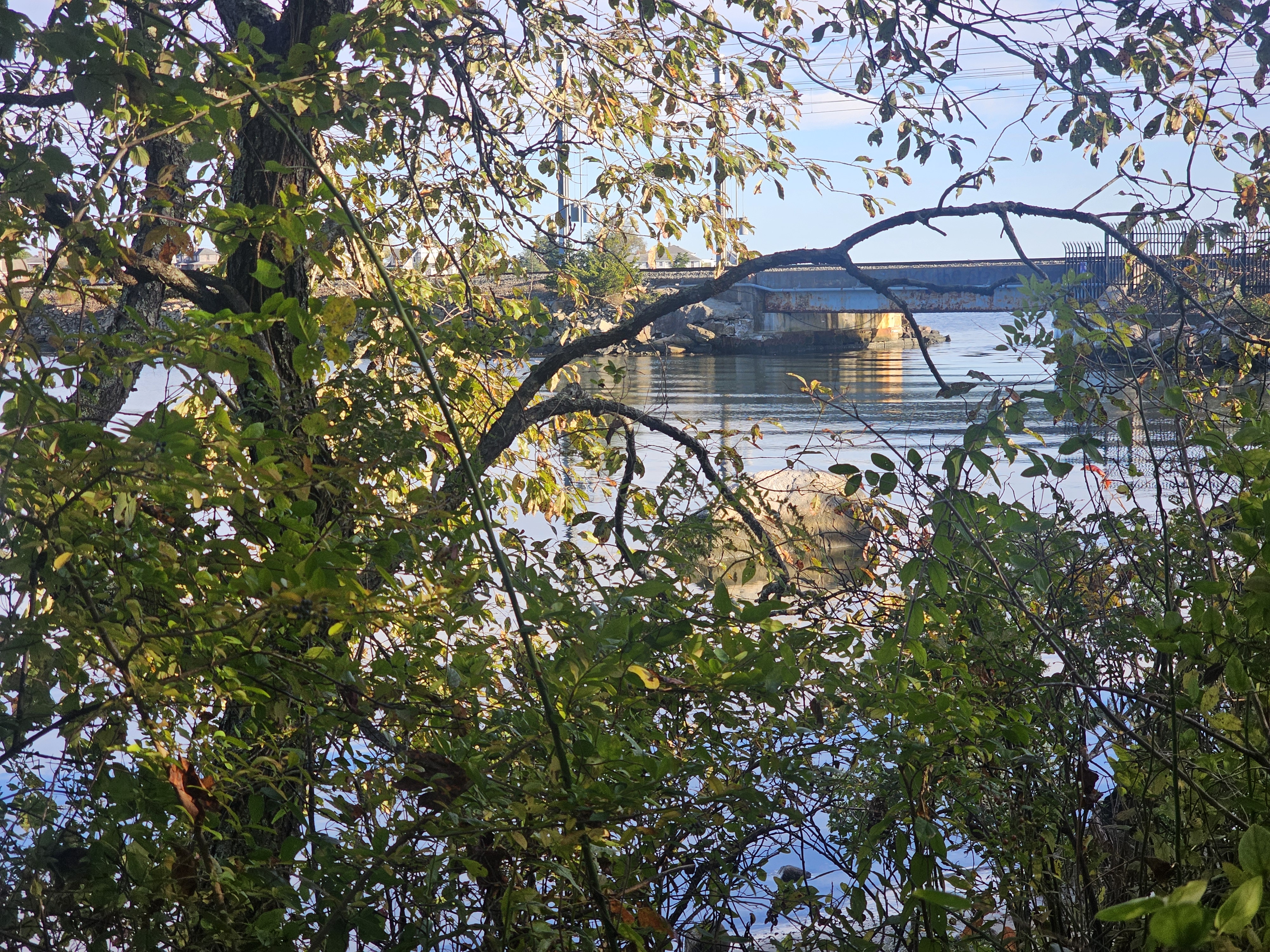 Scenic Walking Trail